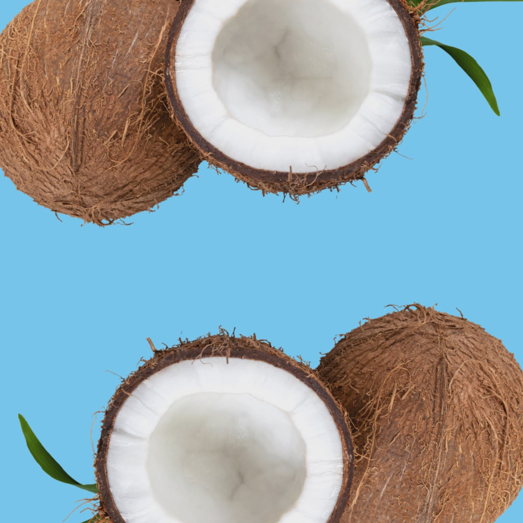 Squeezita Cocco